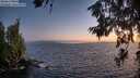 ./images/koeye/fitz-hugh/20260628/fitz-hugh20260628_222001M.jpg