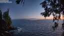 ./images/koeye/fitz-hugh/20260628/fitz-hugh20260628_224001M.jpg