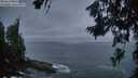 ./images/koeye/fitz-hugh/20260629/fitz-hugh20260629_045001M.jpg