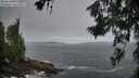 ./images/koeye/fitz-hugh/20260629/fitz-hugh20260629_053501M.jpg