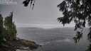 ./images/koeye/fitz-hugh/20260629/fitz-hugh20260629_054002M.jpg