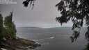 ./images/koeye/fitz-hugh/20260629/fitz-hugh20260629_054501M.jpg