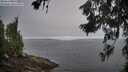 ./images/koeye/fitz-hugh/20260629/fitz-hugh20260629_064001M.jpg