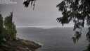 ./images/koeye/fitz-hugh/20260629/fitz-hugh20260629_064502M.jpg