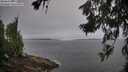 ./images/koeye/fitz-hugh/20260629/fitz-hugh20260629_070002M.jpg