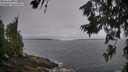 ./images/koeye/fitz-hugh/20260629/fitz-hugh20260629_073001M.jpg
