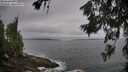 ./images/koeye/fitz-hugh/20260629/fitz-hugh20260629_080001M.jpg