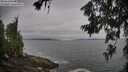 ./images/koeye/fitz-hugh/20260629/fitz-hugh20260629_080501M.jpg