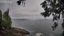 ./images/koeye/fitz-hugh/20260629/fitz-hugh20260629_081001M.jpg