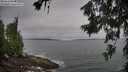 ./images/koeye/fitz-hugh/20260629/fitz-hugh20260629_081501M.jpg