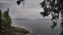 ./images/koeye/fitz-hugh/20260629/fitz-hugh20260629_082001M.jpg