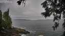 ./images/koeye/fitz-hugh/20260629/fitz-hugh20260629_082501M.jpg