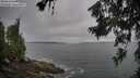 ./images/koeye/fitz-hugh/20260629/fitz-hugh20260629_083001M.jpg