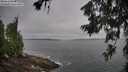 ./images/koeye/fitz-hugh/20260629/fitz-hugh20260629_083501M.jpg