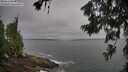 ./images/koeye/fitz-hugh/20260629/fitz-hugh20260629_084001M.jpg