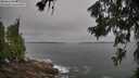 ./images/koeye/fitz-hugh/20260629/fitz-hugh20260629_085002M.jpg