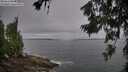 ./images/koeye/fitz-hugh/20260629/fitz-hugh20260629_090002M.jpg
