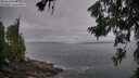 ./images/koeye/fitz-hugh/20260629/fitz-hugh20260629_093001M.jpg