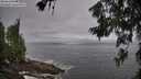 ./images/koeye/fitz-hugh/20260629/fitz-hugh20260629_094501M.jpg
