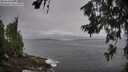 ./images/koeye/fitz-hugh/20260629/fitz-hugh20260629_095001M.jpg