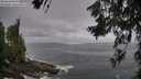 ./images/koeye/fitz-hugh/20260629/fitz-hugh20260629_095501M.jpg