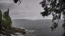./images/koeye/fitz-hugh/20260629/fitz-hugh20260629_101501M.jpg