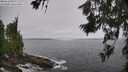./images/koeye/fitz-hugh/20260629/fitz-hugh20260629_102501M.jpg