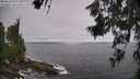 ./images/koeye/fitz-hugh/20260629/fitz-hugh20260629_103501M.jpg