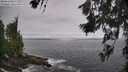 ./images/koeye/fitz-hugh/20260629/fitz-hugh20260629_104001M.jpg