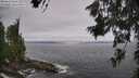 ./images/koeye/fitz-hugh/20260629/fitz-hugh20260629_104501M.jpg