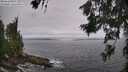 ./images/koeye/fitz-hugh/20260629/fitz-hugh20260629_105001M.jpg