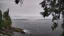 ./images/koeye/fitz-hugh/20260629/fitz-hugh20260629_105501M.jpg