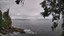 ./images/koeye/fitz-hugh/20260629/fitz-hugh20260629_110501M.jpg