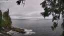 ./images/koeye/fitz-hugh/20260629/fitz-hugh20260629_111002M.jpg