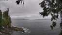 ./images/koeye/fitz-hugh/20260629/fitz-hugh20260629_112501M.jpg