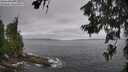 ./images/koeye/fitz-hugh/20260629/fitz-hugh20260629_113001M.jpg