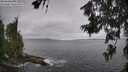 ./images/koeye/fitz-hugh/20260629/fitz-hugh20260629_113501M.jpg