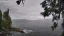 ./images/koeye/fitz-hugh/20260629/fitz-hugh20260629_114002M.jpg