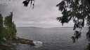 ./images/koeye/fitz-hugh/20260629/fitz-hugh20260629_114501M.jpg