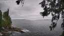 ./images/koeye/fitz-hugh/20260629/fitz-hugh20260629_115001M.jpg