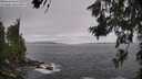 ./images/koeye/fitz-hugh/20260629/fitz-hugh20260629_124502M.jpg