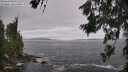 ./images/koeye/fitz-hugh/20260629/fitz-hugh20260629_125002M.jpg