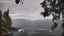 ./images/koeye/fitz-hugh/20260629/fitz-hugh20260629_125501M.jpg