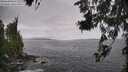 ./images/koeye/fitz-hugh/20260629/fitz-hugh20260629_131501M.jpg