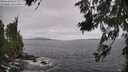 ./images/koeye/fitz-hugh/20260629/fitz-hugh20260629_133501M.jpg