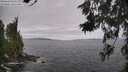 ./images/koeye/fitz-hugh/20260629/fitz-hugh20260629_134501M.jpg