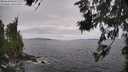 ./images/koeye/fitz-hugh/20260629/fitz-hugh20260629_135502M.jpg