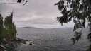 ./images/koeye/fitz-hugh/20260629/fitz-hugh20260629_140501M.jpg