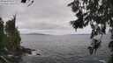 ./images/koeye/fitz-hugh/20260629/fitz-hugh20260629_141001M.jpg