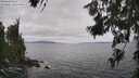 ./images/koeye/fitz-hugh/20260629/fitz-hugh20260629_141501M.jpg